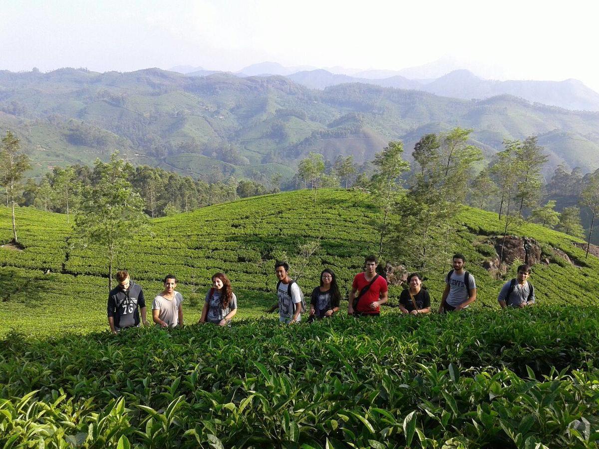 Jj Cottage Munnar Exteriör bild